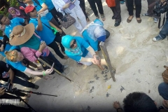 10517577_1493219944321465_2179191219358980136_n_1493219944321465