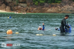 17637221_1764246050552185_4525658429350161962_o_1764246050552185