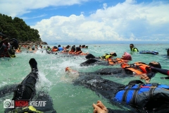 17758535_1764251773884946_3280863580583494682_o_1764251773884946