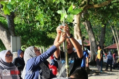 17758652_1764245237218933_1293528098004146206_o_1764245237218933