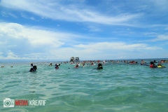 17760981_1764239263886197_5027823723106724491_o_1764239263886197