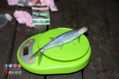 18238014_1783009118675878_7767104432218132011_o_1783009118675878