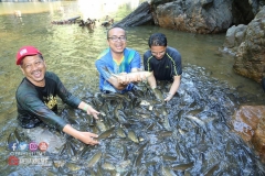 18238890_1783016608675129_240419865538697330_o_1783016608675129