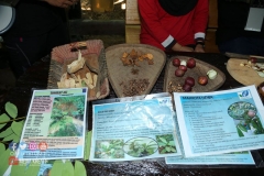 18278573_1783010362009087_2528799234053801892_o_1783010362009087