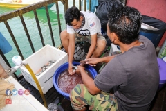 18278602_1783010228675767_4888525341998262010_o_1783010228675767