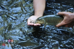 18319285_1783014318675358_1372365607194728366_o_1783014318675358