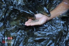 18320855_1783013885342068_5655831861286215262_o_1783013885342068