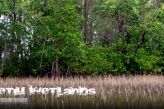 setiu wetlands