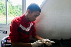 23154832_1866185393691583_4106659271839878995_o_1866185393691583