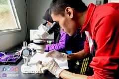 23155048_1866184823691640_5939347831808733690_o_1866184823691640