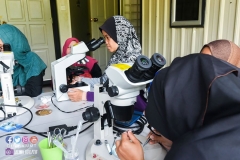 23157220_1866184067025049_6206497609484603578_o_1866184067025049