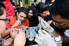 23213016_1866184537025002_1047029360236488760_o_1866184537025002