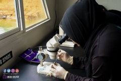 23213026_1866184890358300_6785301085144535564_o_1866184890358300