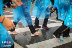 23157038_1865783700398419_4233296340373437239_o_1865783700398419