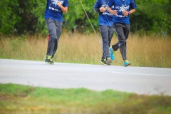 23157111_1865783780398411_6765166501377064592_o_1865783780398411