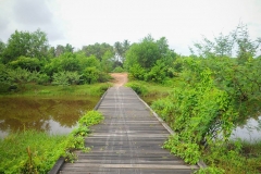 23215493_1865792003730922_8379946877024477055_o_1865792003730922