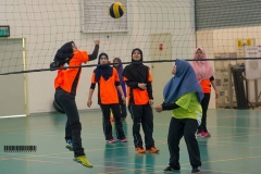 11232133_1527545544222238_6798865161968701570_o_1527545544222238