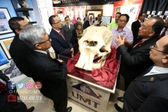 47204314_2100995833543870_1222965347393470464_o_2100995830210537