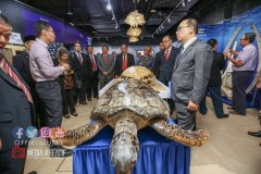 47574086_2100997340210386_16831186559041536_o_2100997333543720