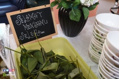 36725193_1993440457632742_1356988332986335232_o_1993440447632743