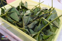 36759659_1993440344299420_4856169953646084096_o_1993440327632755