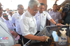 21316465_1841679736142149_8686549085225244124_o_1841679736142149