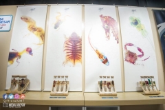 22179725_1853478551628934_465592909918589350_o_1853478551628934