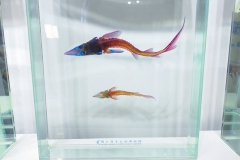 22179754_1853477644962358_4972500046124851585_o_1853477644962358