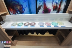 22179964_1853478818295574_6163598756733561998_o_1853478818295574