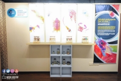 22181562_1853478741628915_7088477240765550341_o_1853478741628915