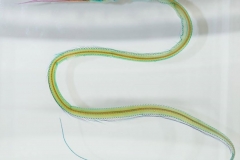 22256469_1853477548295701_977686645918086070_o_1853477548295701