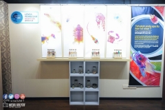 22289650_1853478811628908_8985823846270130031_o_1853478811628908