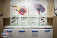 22290010_1853478704962252_1965572943847045272_o_1853478704962252