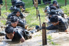 11231925_1528184500825009_3042578783722884245_o_1528184500825009