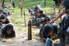 11232714_1528184664158326_8459346598323112706_o_1528184664158326