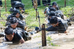 12291077_1527907420852717_4012571070423648164_o_1527907420852717