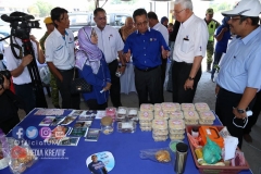 31957273_1953719574938164_1818674760138096640_o_1953719571604831