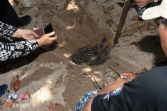 20643163_1829330107377112_8097459400923692784_o_1829330107377112