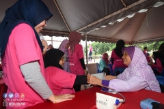 43169800_2067727073537413_209547936793624576_o_2067727066870747