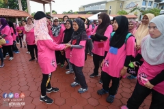 43195858_2067727326870721_1799355314340888576_o_2067727320204055