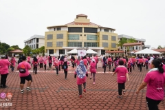 43228383_2067727173537403_275604465086627840_o_2067727170204070