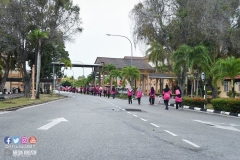 43231290_2067731113537009_4653806023964884992_o_2067731110203676