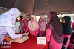 43242482_2067728846870569_8307474620374581248_o_2067728840203903