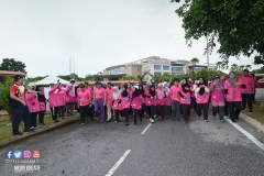 43244060_2067729943537126_7147465539261038592_o_2067729940203793