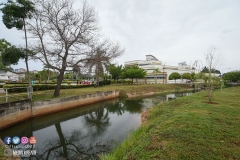 43247243_2067731446870309_719677652264288256_o_2067731443536976