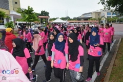 43248273_2067727200204067_7395194137588269056_o_2067727196870734