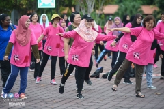 43253008_2067729196870534_8539837844351352832_o_2067729190203868