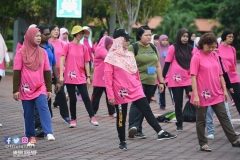 43253623_2067727996870654_8235604931155853312_o_2067727990203988