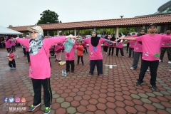 43323006_2067727960203991_2470977286199836672_o_2067727953537325