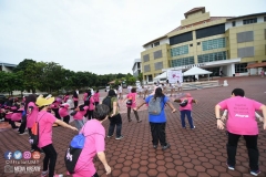 43339382_2067730783537042_758193832348090368_o_2067730780203709